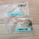 메데스 | 에키메데스 선물 나눔 후기/w하늘바다