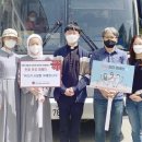 바다의별 이미지