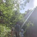 OK농장 | 사이판 OK 농장 체험