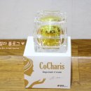 팍스코퍼레이션