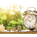 1인가구 은행 유언신탁...일본비행기값2만원... 이미지