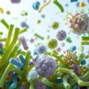 (주)플러스랩에스 이미지