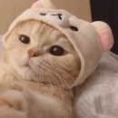 에스제이태양광발전소 이미지