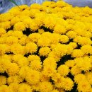 두진(아) 이미지