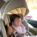 아이리스 | SUV 카시트 고민 끝, 배면각도 좋은 카시트 시크 맥스 아이리스 후기