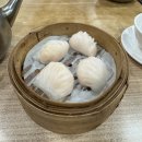 말문이 터지는 스물톡 여행 영어 | 홍콩 팀호완 본점 위치 메뉴 가격 미슐랭 딤섬 맛집 마카오 여행