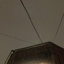 패티드(patted) 네이버블로그