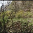 예산읍수철리보건진료소 이미지