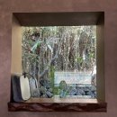 월드캣 | 제주 혼여행 코스 북카페 책계일주 / 서귀포 고양이카페 제주캣월드 솔직후기