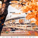 살랑제주 이미지