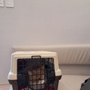 초곡나무동물병원 이미지