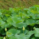 청연마을회관 이미지