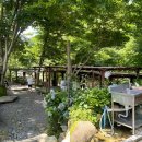 대바우가든 민박 이미지