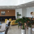 마소마레 이미지