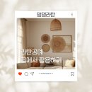 여름에 어울리는 라탄 활용 소품공예 | 문래동 라탄공예 원데이클래스 집에서 활용하는 법 | 댕댕라탄