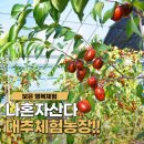 영준농장 이미지