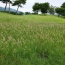 아시아드컨트리클럽(주)