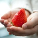 지중해의 아침 A 이미지