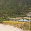 동강공인중개사사무소 이미지