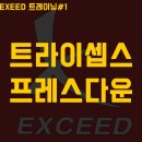 엑시드 휘트니스 이미지