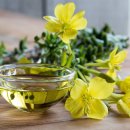 달맞이꽃-Evening Primrose 이미지