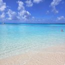 지상낙원 | 지상낙원 그 자체 에메랄드빛 사이판 마나가하섬 투어 후기♥︎