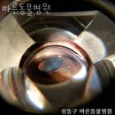 바른진료 동물병원 | 성동구 금호동 동물병원 바른동물병원 진료시간 접근성 이용후기