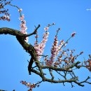 봉동한의원 이미지