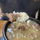 중앙마트 | [안산/성포동] 모락모락설렁탕 롯데마트 안산 중앙역 맛집 점심 가성비 갈비탕, 냉면 후기