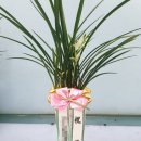 첨단과기로 이미지