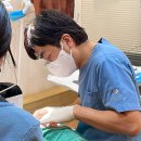 연세유라인치과의원 이미지