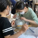 아시테지 in 인천 오브제극 <자전거 여행> | 인천시 크루즈 레가타호 입항ㆍ한강공원 전원풍경단지에 유채꽃ㆍ남산 한옥마을 성년의 날 기념식ㆍ전남...