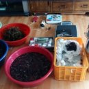 단산농원 이미지