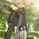 숙희농장 이미지