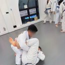 파라에스트라울산