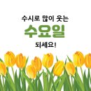 10월 9일 수요일 미래 정 대문 오픈 합니다 이미지