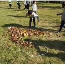 우포의 숲속 이미지