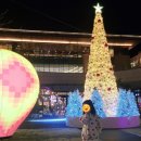 조이풀파크 스테이 | 제주 신화월드 신화관_이용 후기