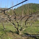 송전산방 이미지