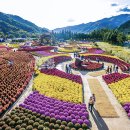 아스타 빌 | 감악산 아스타 국화꽃 축제, 사진 찍기 좋은 최고의 명소 추천