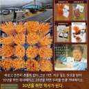 하초 이미지