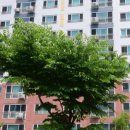 판타블아파트 이미지