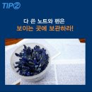 파란영어수학학원 - 서대문구 가좌로 140 | 파란영어수학학원