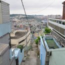 금성이용원 티스토리