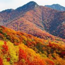 모산고인돌한옥민박 | 2025 전북 가을 여행: 내장산 단풍 절정과 주변 관광지 완벽 추천