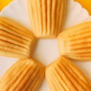 냠냠펫푸드 이미지