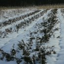 상창농장 이미지