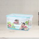 신선5호 이미지