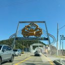 맘포식당 | 경상북도 영덕 1박 2일 여행 강구항 대게 거리 영덕 생선구이 맛집 생선구이집