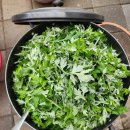 내미농박 이미지